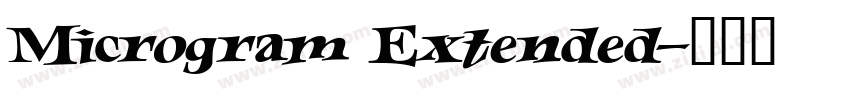 Microgram Extended字体转换